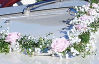 Hochzeit Brautauto Autoschmuck rosa weiß AU0024 Vintage Bayern - Waging am See Vorschau