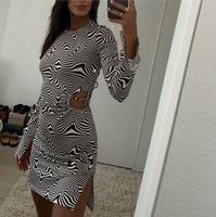 H&M Kleid Zebra Optik Aachen - Vaalserquartier Vorschau