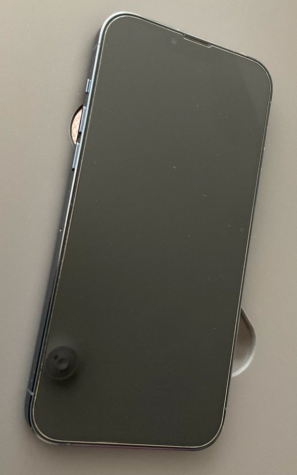 iPhone 13 Pro Max 128 GB wie neu Sierrablau in Korntal-Münchingen