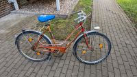 Damen Fahrrad Sachsen-Anhalt - Magdeburg Vorschau