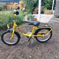 Puky Kinderfahrrad 16 Zoll Schleswig-Holstein - Kiebitzreihe Vorschau