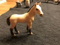 Schleich Pferd Achal Tekkiner Fohlen Nordrhein-Westfalen - Nörvenich Vorschau