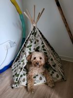 Hunde Körbchen Bett Tipi Zelt Niedersachsen - Bramsche Vorschau