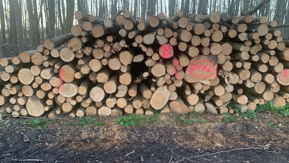 Kaminholz ofenfertig Brennholz in Garrel