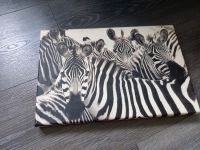 Zebra Wandbild Leinwand Zebras kleines Bild Afrika deko Hude (Oldenburg) - Nordenholz Vorschau