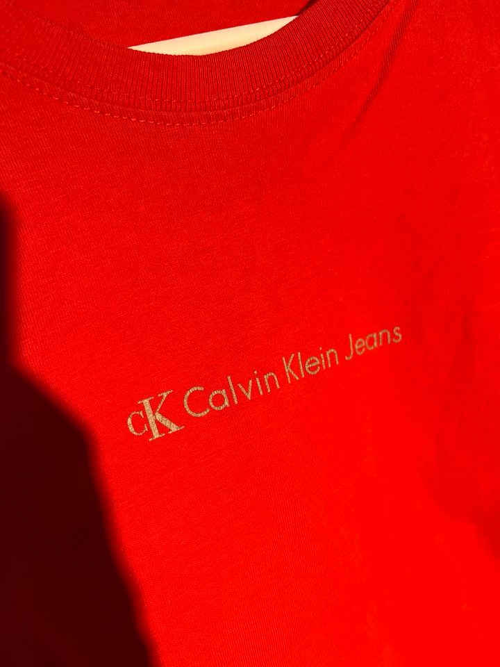 Calvin Klein Jeans Shirt in Kirchlinteln