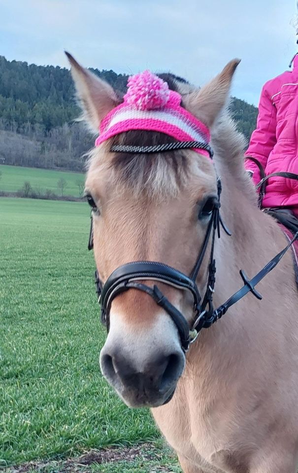 Pudelmütze Bommelmütze Strickmütze für Pferd & Pony in Bösleben-Wüllersleben