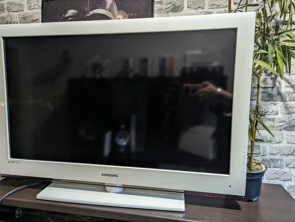 Samsung TV in Zörbig