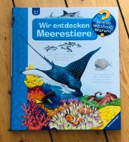 Kinder Buch Meerestiere Schleswig-Holstein - Ahrensburg Vorschau