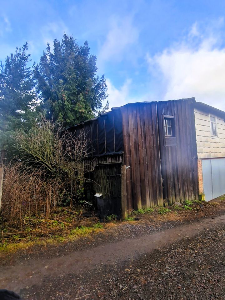 Einfamilienhaus mit Garten und großen Grundstück im grünen Thüringen in Großbreitenbach