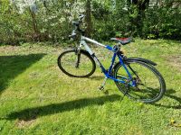 Herren Fahrrad Sabotage XT Kr. Passau - Passau Vorschau