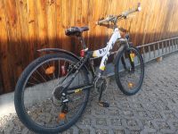 Mountainbike Fahrrad Sachsen - Penig Vorschau