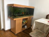 Aquarium 450l Bayern - Neustadt b.Coburg Vorschau