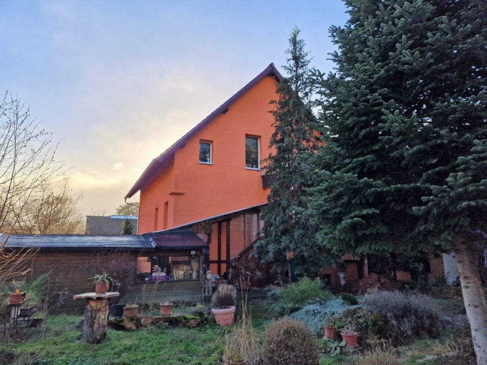 Wohnen und Arbeiten - die ideale Immobilie für Familie und Gewerbe in Blankenburg (Harz)