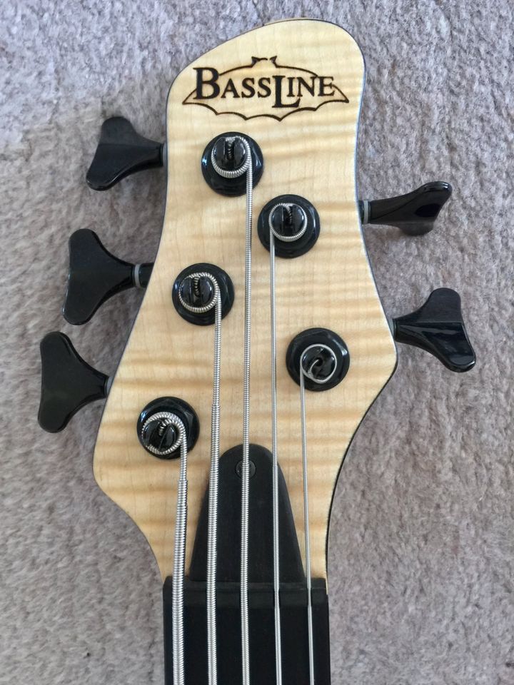 E-Bass semi-acoustic Bassline Viper fretless in Duisburg