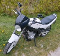 Suzuki GS 500 E schwarz/ weiß Ludwigslust - Landkreis - Ludwigslust Vorschau