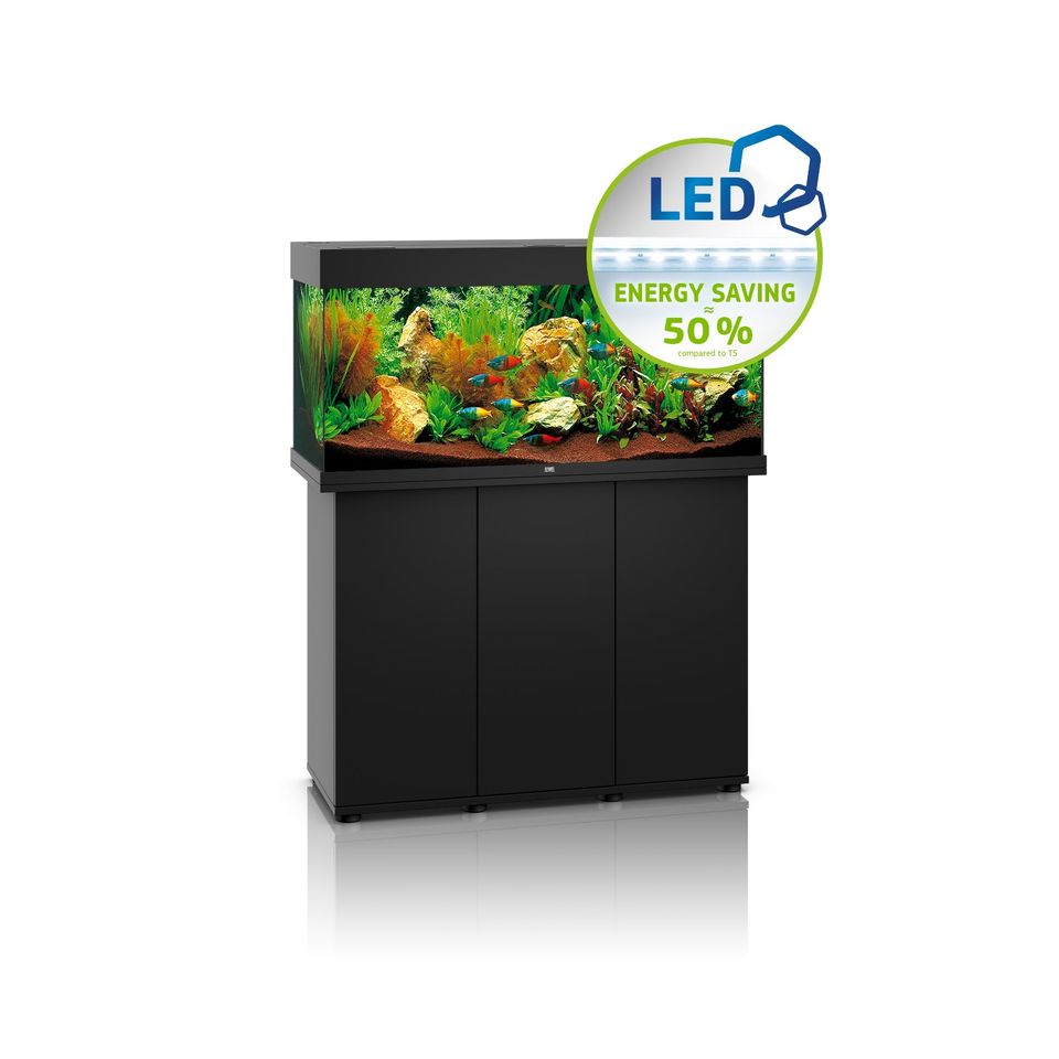 Aquarium Juwel Rio 180 LED + Unterschrank Kombination *NEU* in Beckum