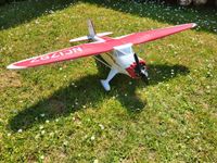 RC Flugzeug Stinson Reliant SR-10 Parkzone Hessen - Bad Homburg Vorschau