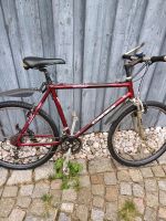 Trekkingfahrrad  Giant CADEX CFM3 Bayern - Regenstauf Vorschau