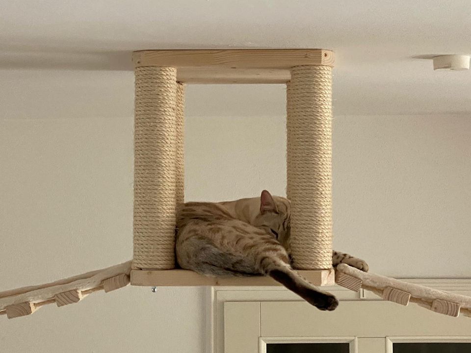 Kratzbaum Deckensystem, Catwalk Kletterlandschaft für Katzen in Bamberg