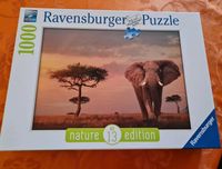 Ravensburger nature Edition Puzzle 1000 Elefant Masa Marai Park Nordrhein-Westfalen - Hattingen Vorschau