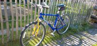 "Old school" Mountainbike  Univega 26 Zoll RH 16 (S 42cm) Baden-Württemberg - Wangen im Allgäu Vorschau