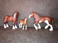 Schleich - Clydesdale Familie Rheinland-Pfalz - Dittelsheim-Heßloch Vorschau