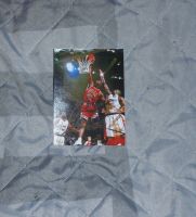 Michael MJ 23 Chicago Bulls Jordan Autogramm Original Dunk Hessen - Mühltal  Vorschau