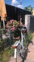 Fahrrad damen Nürnberg (Mittelfr) - Großreuth b Schweinau Vorschau
