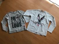 2 x ZARA Pulli Pullover Sweatshirt Shirt Gr. 158/164 Bayern - Ochsenfurt Vorschau