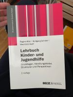 Lehrbuch Kinder- und Jugendhilfe Soziale Arbeit 2014 Leipzig - Altlindenau Vorschau