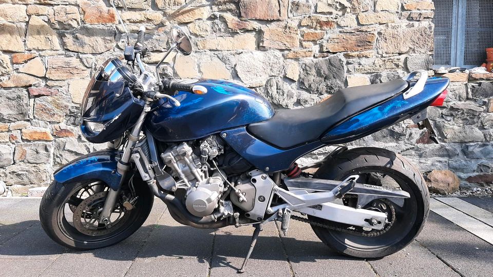 Honda Hornet 600 Motorrad in Wuppertal