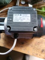 speck pumpe  y-2951 Y/YS-2951  230V Peripheralradpumpe Hessen - Erbach Vorschau