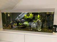 EHEIM Aquarium VivalineLED 240Liter Nordrhein-Westfalen - Wesel Vorschau