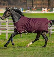 Reduziert Regendecke Hero +100g Horseware UVP 93,95 jetzt 85.- Übergangsdecke robust 600D Ripstop, Neuware winddicht, wasserdicht, atmungsaktiv 125,130,140,145,155, Nordrhein-Westfalen - Kempen Vorschau