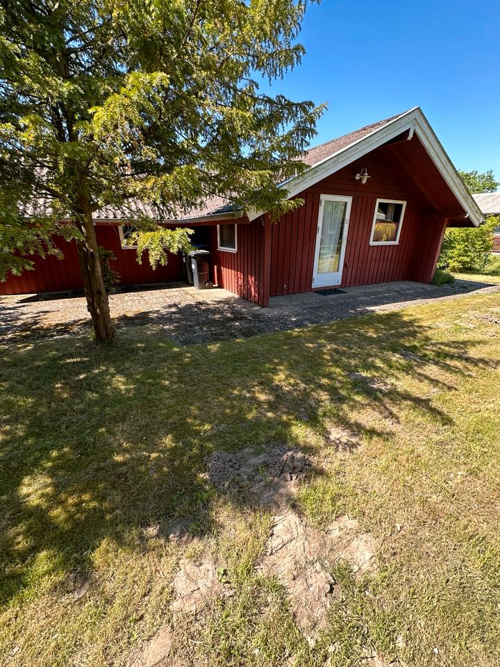 Skandinavisches Ferienhaus am Badesee/Elbstrand in ruhiger Lage in Otterndorf