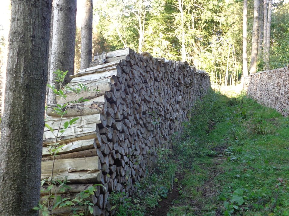 Nadel-Brennholz in Freiensteinau