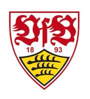 VFB Tickets gegen FC Bayern München Stuttgart - Mühlhausen Vorschau