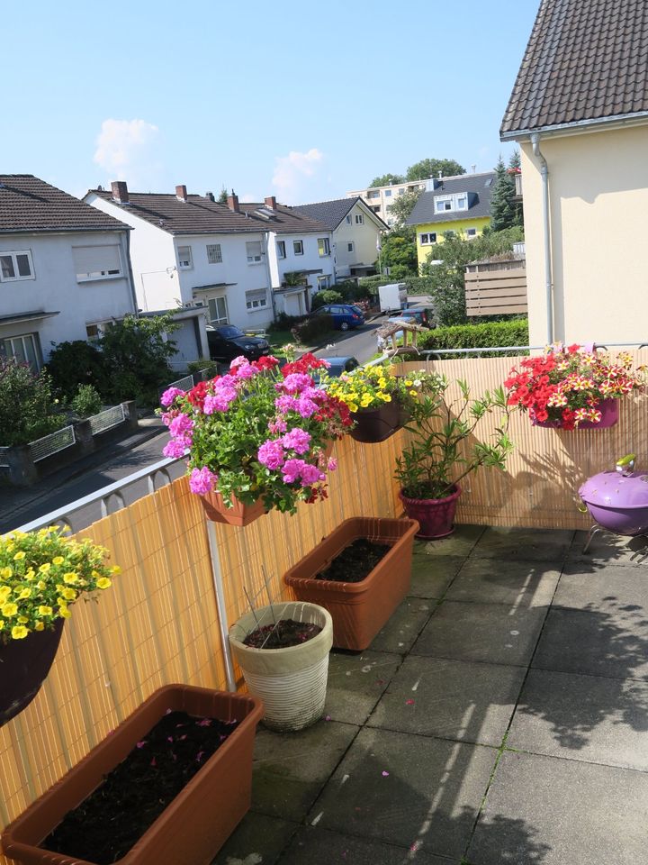 Helle 2-Zimmer-Wohnung mit Süd-Balkon, Ruhiglage in Sankt Augustin