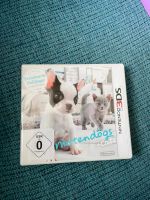 Nintendo 3DS nintendogs + cats Hessen - Vellmar Vorschau