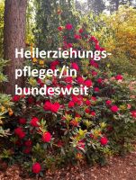 Heilerziehungspfleger (m/w/d) 26 €/h Work / Travel + Bonus Thüringen - Rudolstadt Vorschau