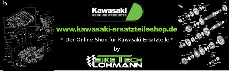 Kawasaki Ninja ZX10R | WSBK Replica mit Motortuning 216PS in Walsrode