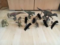 Schleich Dinosaurier Set oder einzeln Hessen - Aarbergen Vorschau