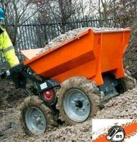 Zu vermieten: Mini-Dumper Motorschubkarre Allrad Zuladung 300kg Schleswig-Holstein - Immenstedt Vorschau