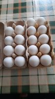 Pekingenten  und Flugenten Eier zu verkaufen Sachsen - Belgern Vorschau
