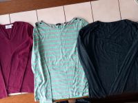 Langarmshirts Gr.36/38 Stück 7 Euro Hessen - Kassel Vorschau