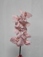 Orchidee Phalaenopsis Kunstblume Eventfloristik Real Touch Ricklingen - Wettbergen Vorschau
