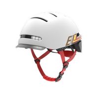 Livall BH51M NSO Fahrradhelm Blinker Rücklicht grau 54-58cm Rheinland-Pfalz - Westerburg Vorschau