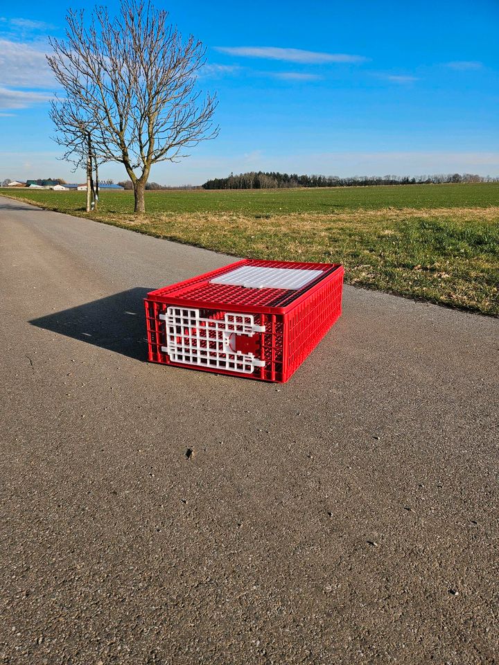 Abverkauf! Geflügeltransportboxen, Transportkoste Hühner, in Engelsberg