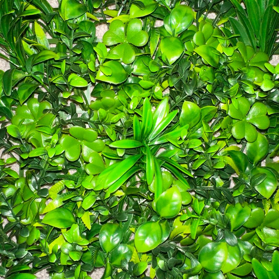 Premium Dschungel Farn Pflanzenwand 50x50cm GeckoWall |Gastronomie Wandverkleidung | Kunstpflanzen Wandmontage Indoor| Regenwald Wandpaneele Pflanzen Restaurant Büroräume vertikaler Garten in Berlin